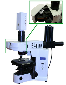 圖片關(guān)鍵詞