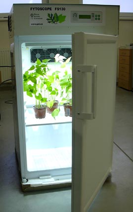 植物生長箱 植物生長箱