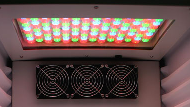 植物生長箱 植物生長箱