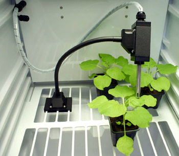 植物生長箱 植物生長箱