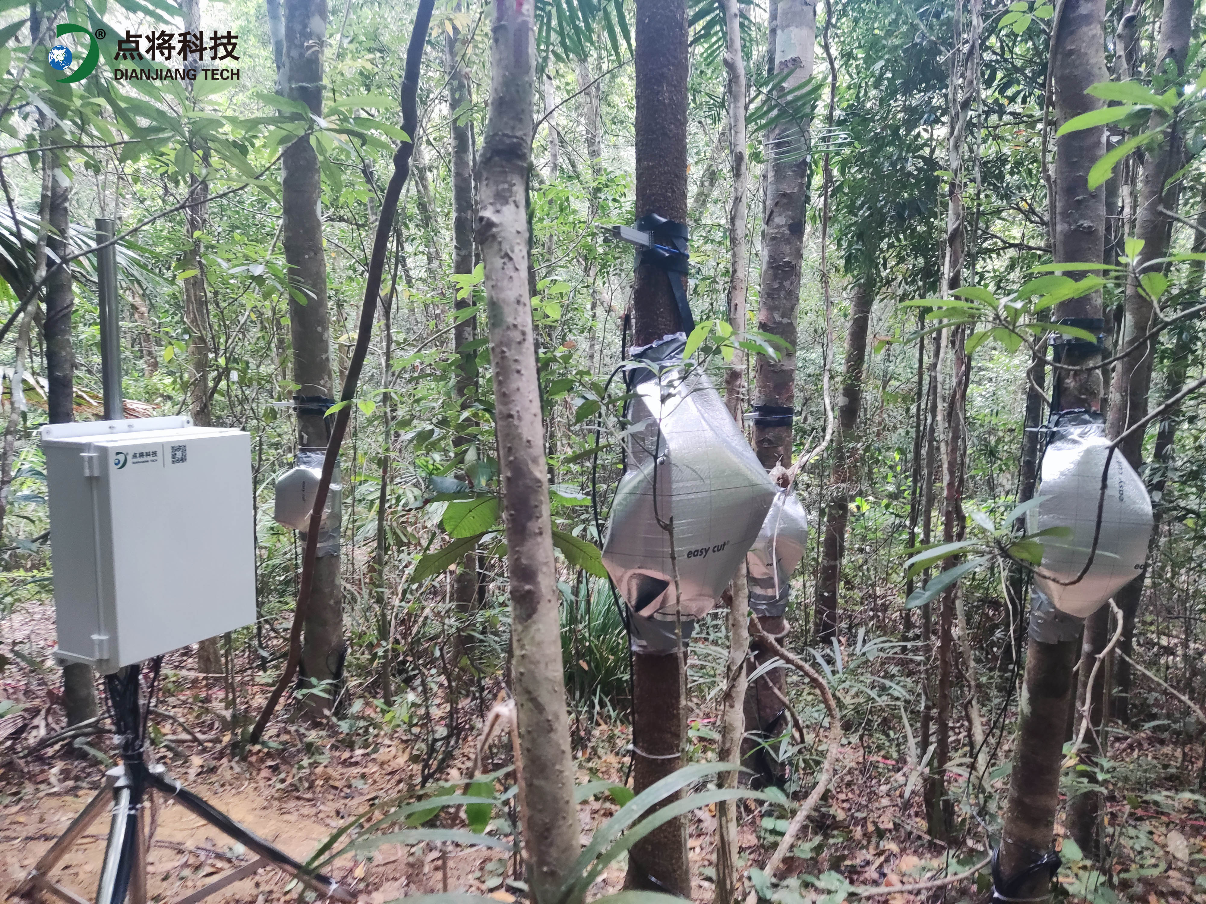 液流測量 液流測量
