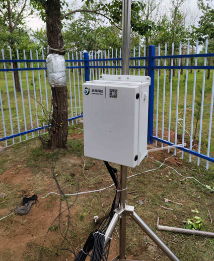 插針莖流(TDP法)監(jiān)測系統(tǒng)