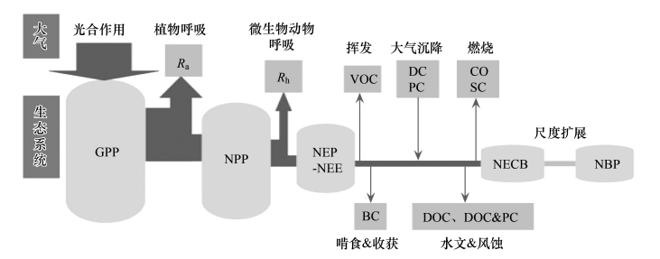 陸地生態(tài)碳匯綜合解決方案 陸地生態(tài)碳匯綜合解決方案