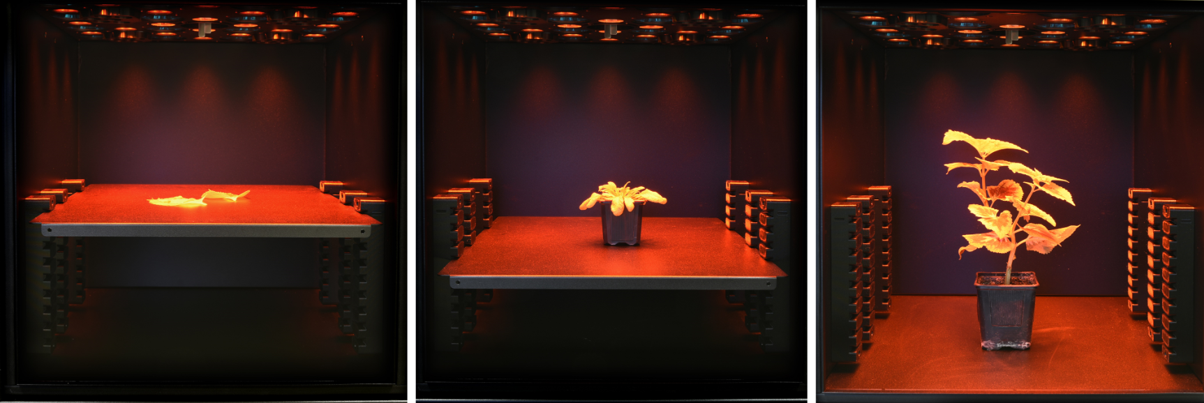 葉綠素?zé)晒獬上裣到y(tǒng) 葉綠素?zé)晒獬上裣到y(tǒng)