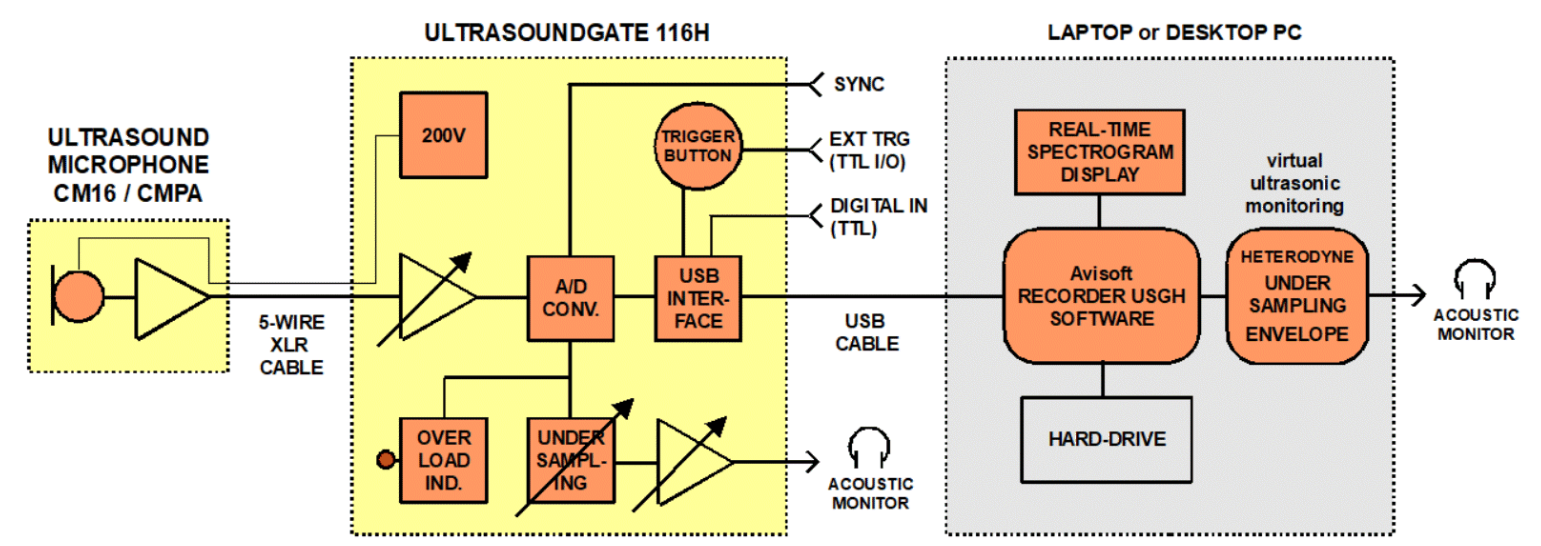 動物超聲波記錄儀 動物超聲波記錄儀