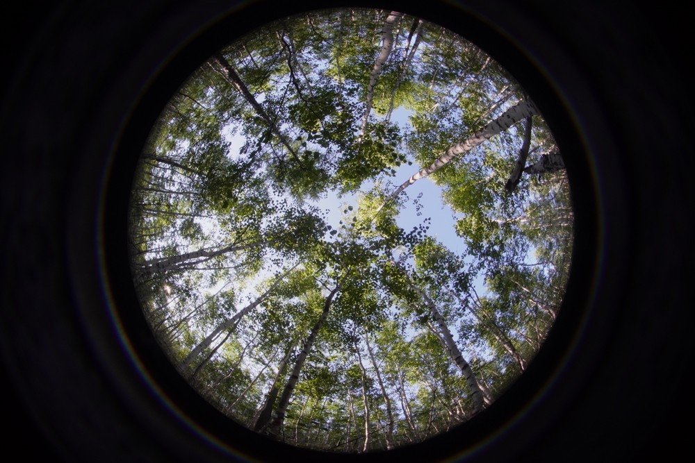 植物冠層分析儀 植物冠層分析儀