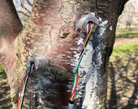 水勢傳感器 水勢傳感器