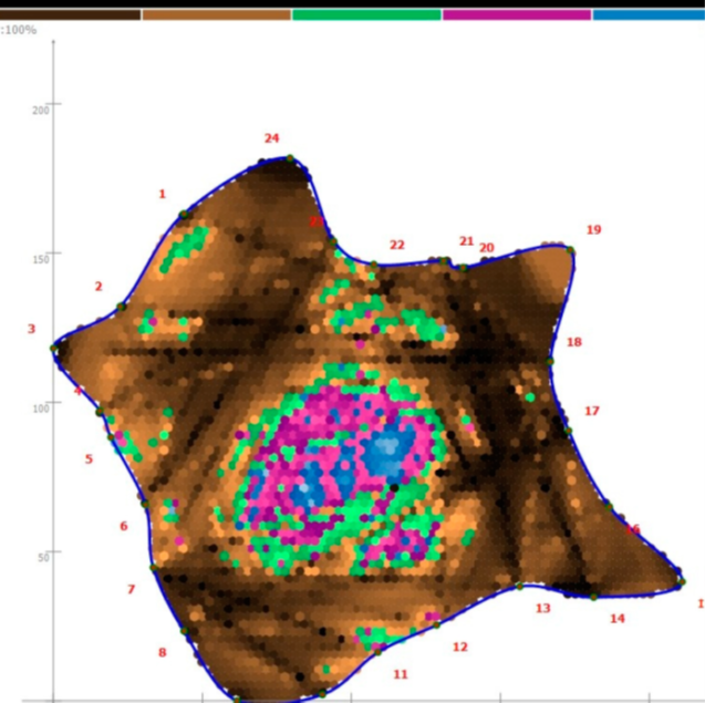 圖片關(guān)鍵詞