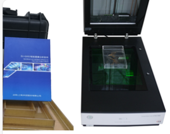 根系圖像分析儀 根系圖像分析儀