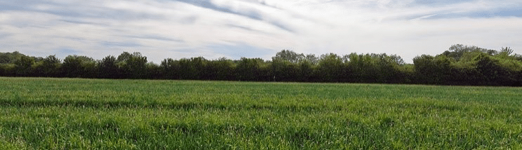  PR2 土壤剖面水分儀