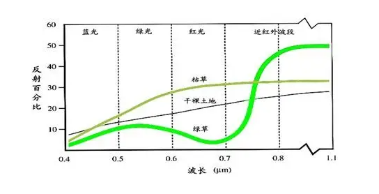 植物指數(shù)儀 植物指數(shù)儀