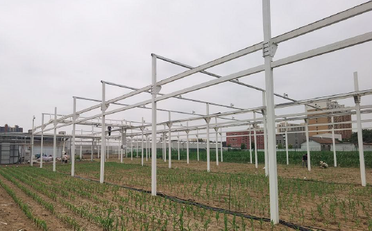 高通量植物表型測量系統(tǒng) 高通量植物表型測量系統(tǒng)