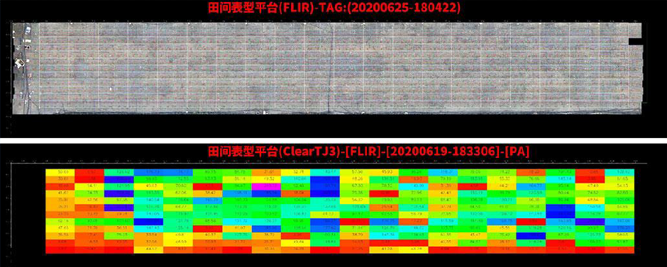 田間表型臺 田間表型臺