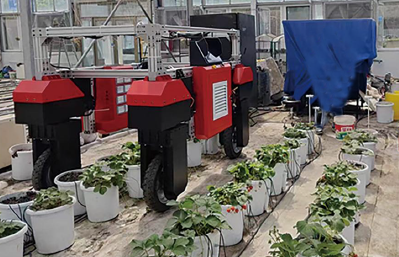 自走式無人車表型測量系統(tǒng)