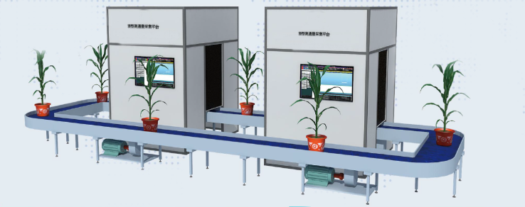 高通量植物表型測(cè)量系統(tǒng)