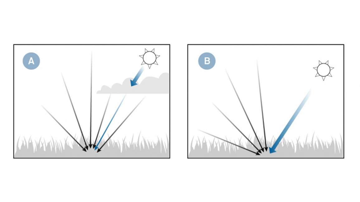 葉面積指數(shù)