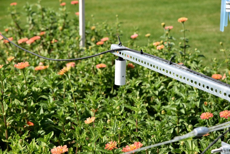 葉片/冠層溫濕度監(jiān)測 葉片/冠層溫濕度監(jiān)測