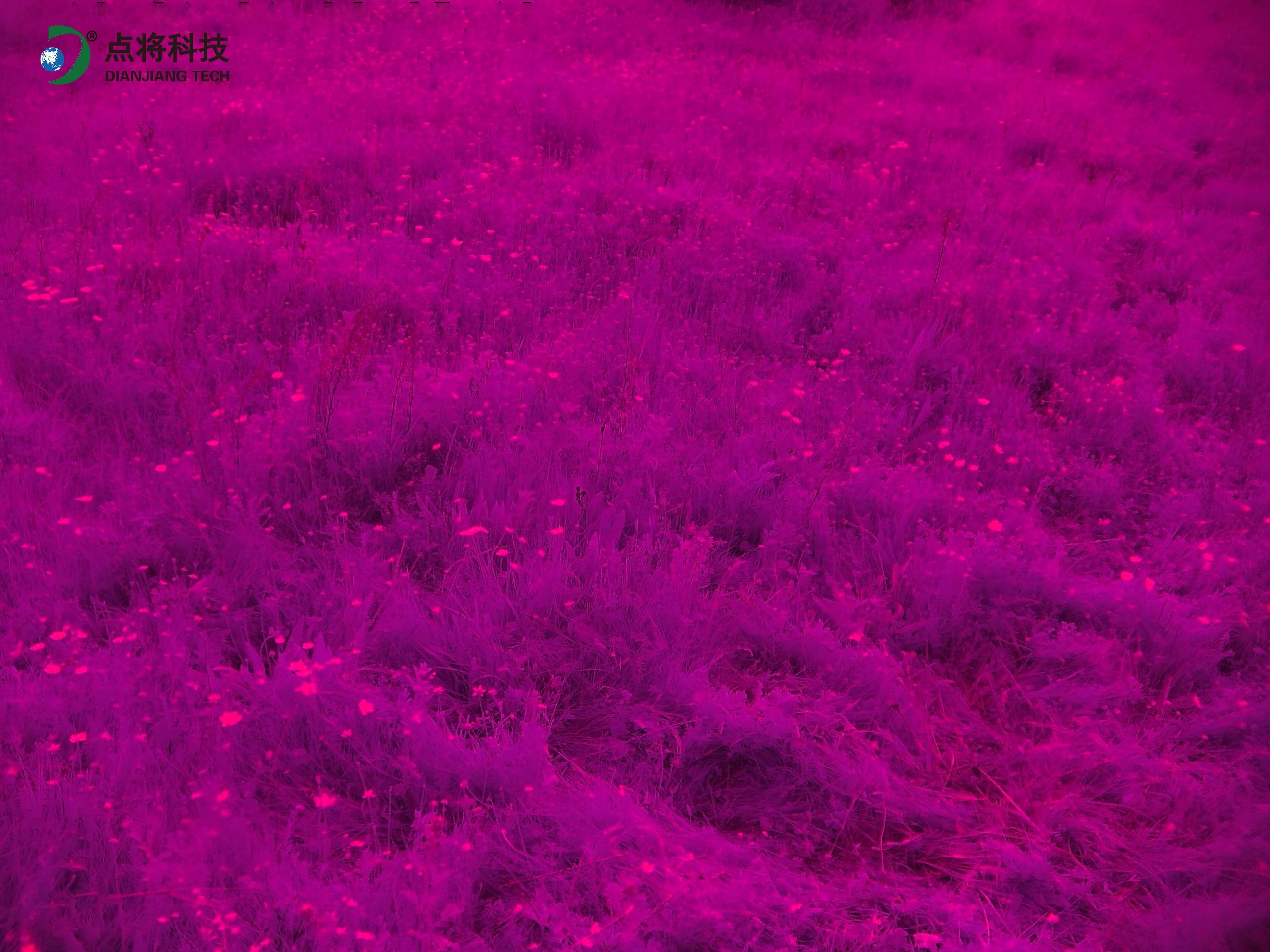 物候相機 物候相機