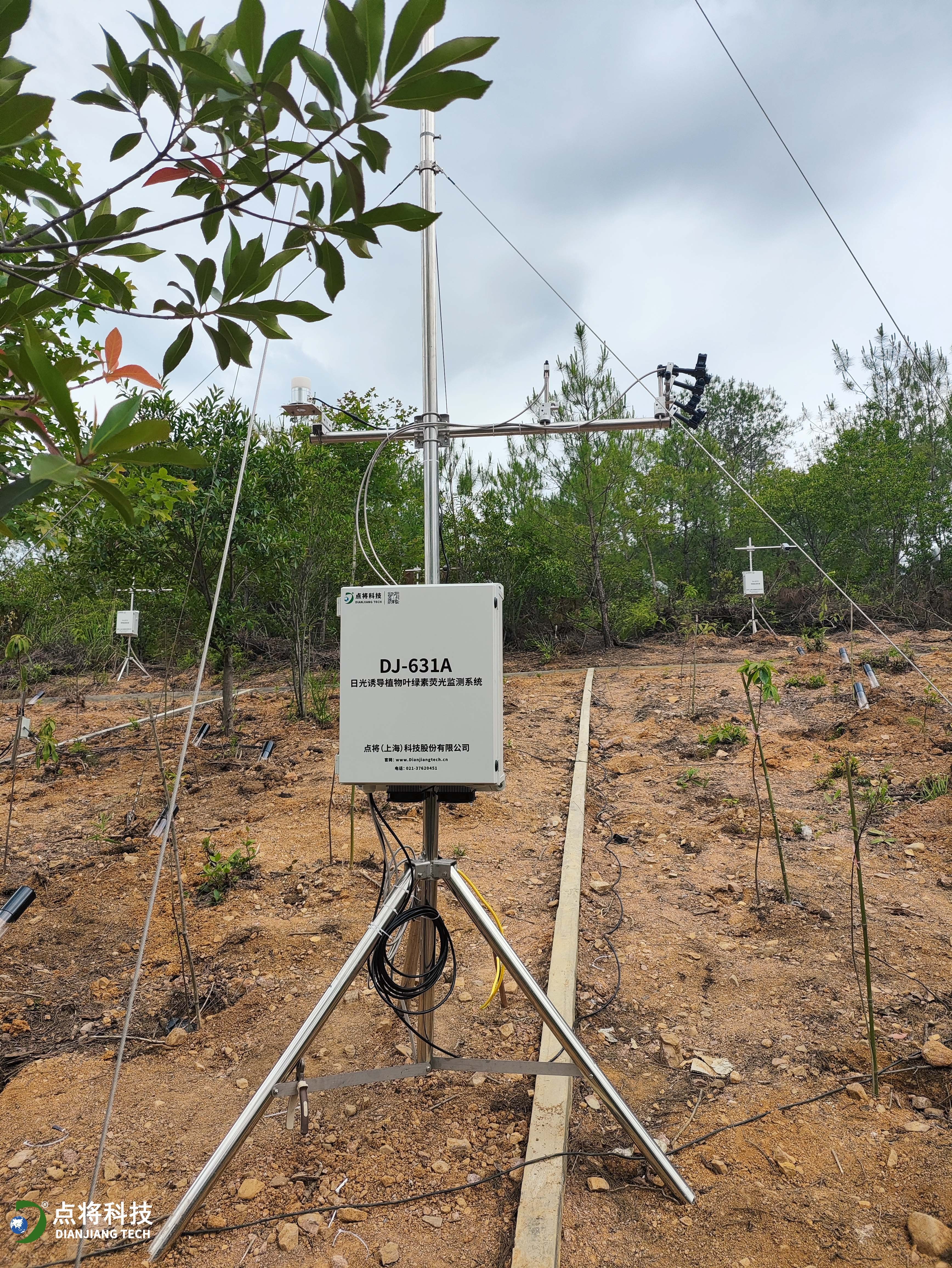 日光誘導葉綠素熒光 日光誘導葉綠素熒光