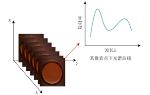 高光譜成像技術(shù) 高光譜成像技術(shù)