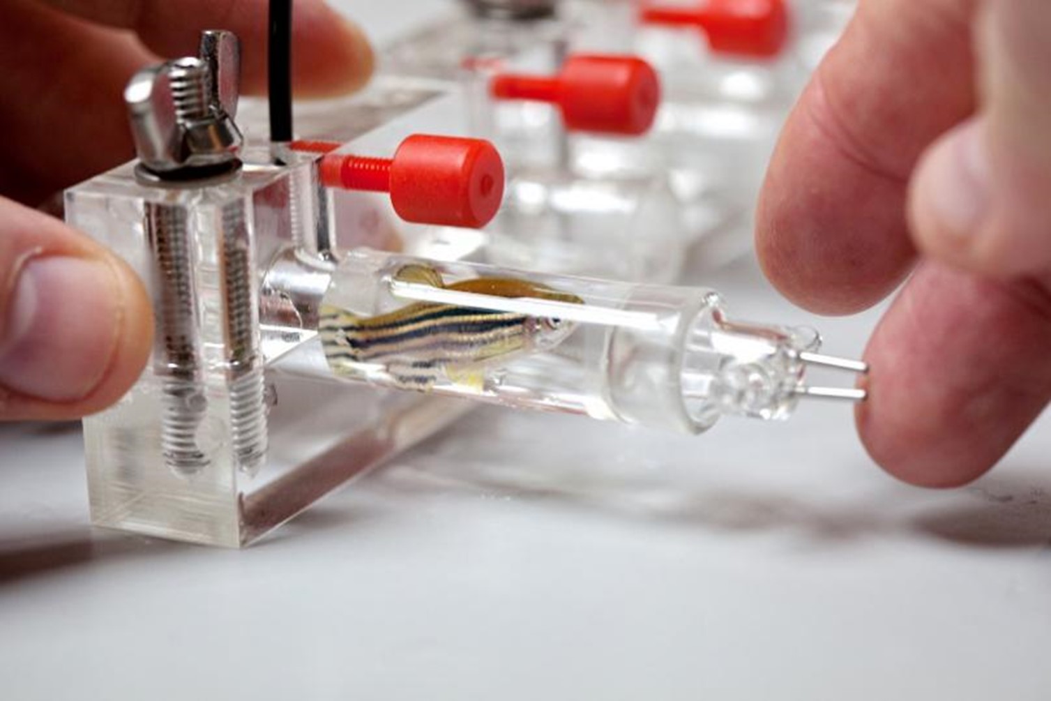 呼吸代謝測(cè)量系統(tǒng) 呼吸代謝測(cè)量系統(tǒng)