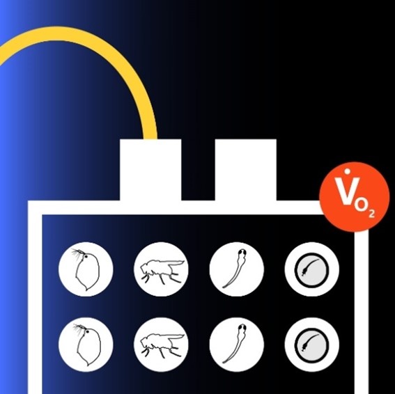 呼吸測量系統(tǒng) 呼吸測量系統(tǒng)