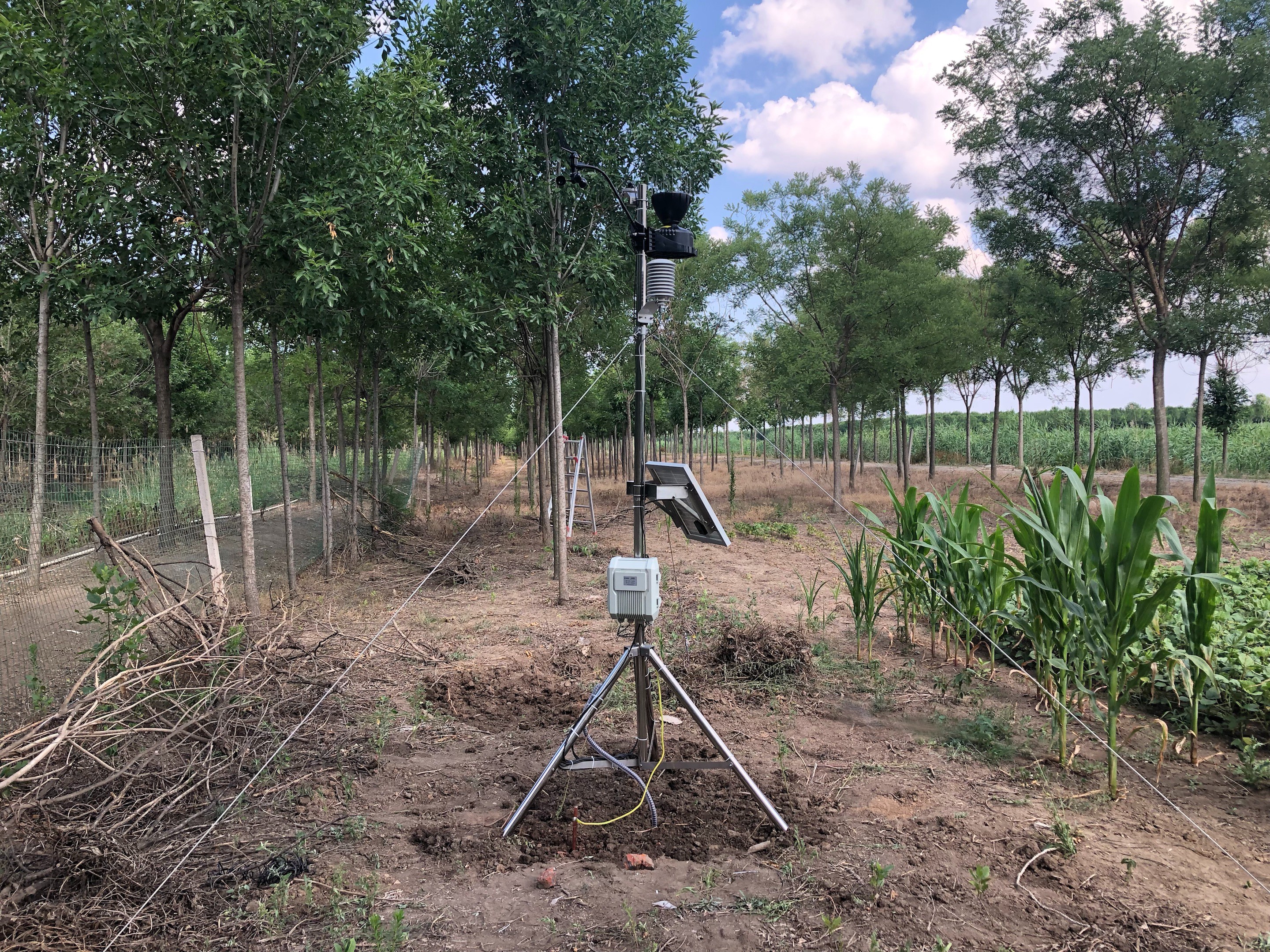 植物霜凍預(yù)警和監(jiān)測系統(tǒng)