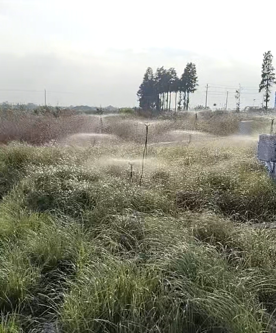 自動(dòng)灌溉系統(tǒng)