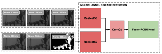 多通道疾病檢測模塊 多通道疾病檢測模塊
