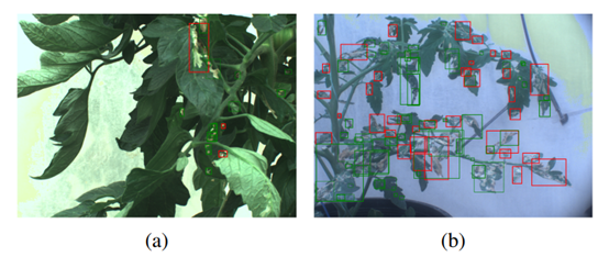 使用Faster-RCNN的檢測結果 使用Faster-RCNN的檢測結果
