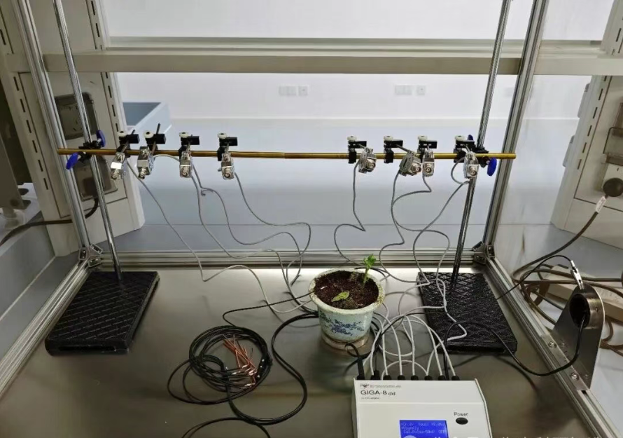 EPG昆蟲刺探電位儀系統(tǒng) EPG昆蟲刺探電位儀系統(tǒng)