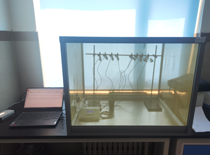 昆蟲刺吸電位儀