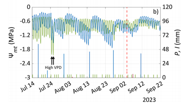 柑橘（橘子）果園的連續(xù)水勢(shì)監(jiān)測(cè)