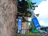 TRU樹木雷達、Picus 3和TreeQinetic落戶長春市園林植物保護站