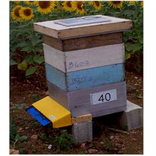 BeeSCAN蜜蜂計數(shù)器